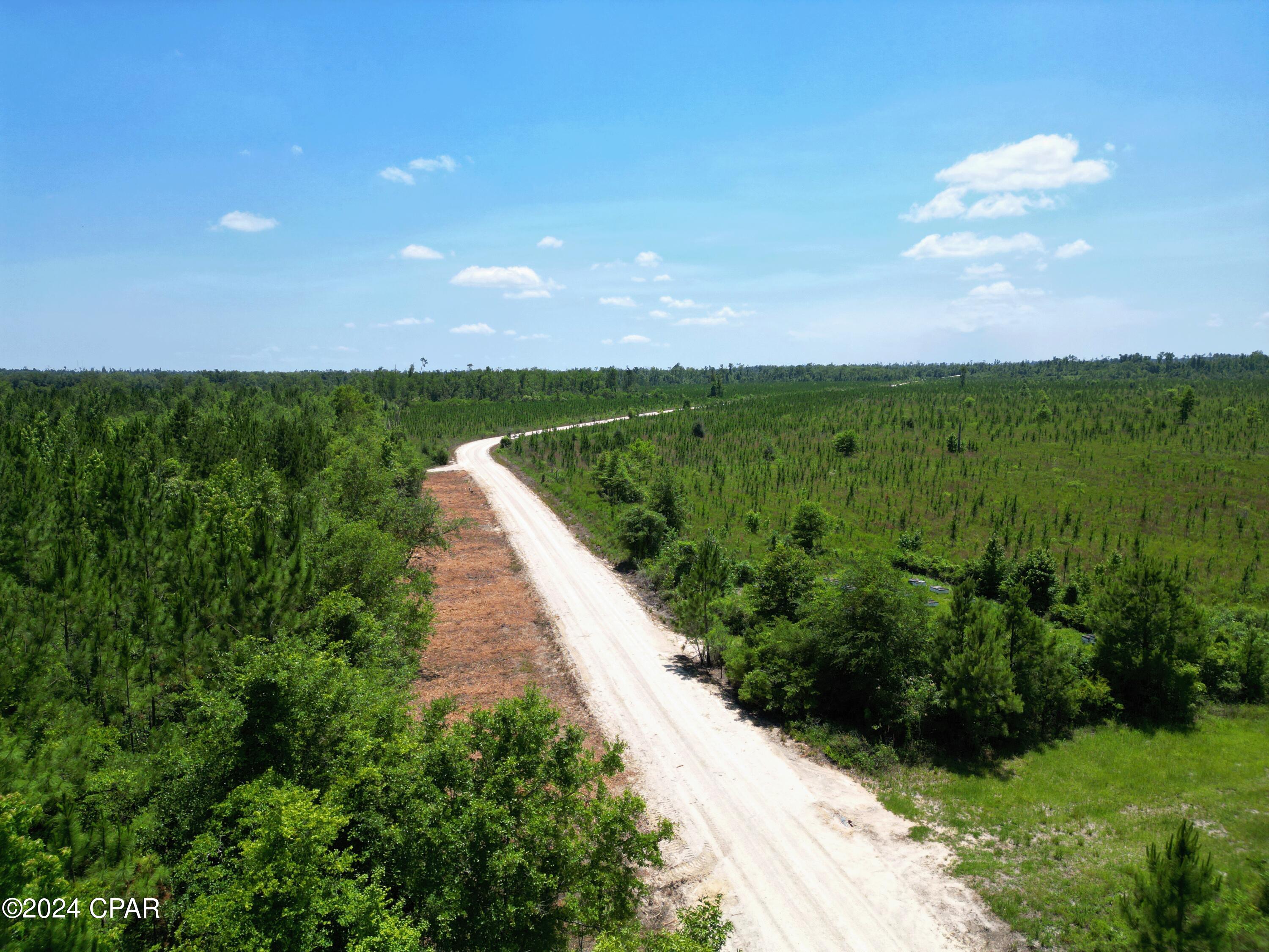 Lot 18 Northwest K B Jones Road Clarksville, FL 32430 - Photo 2 of 9
