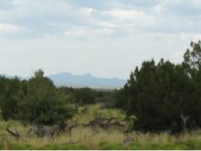 270 South Wagon Tree Road Ash Fork, AZ 86320 - Photo 1 of 2 Primary Photo