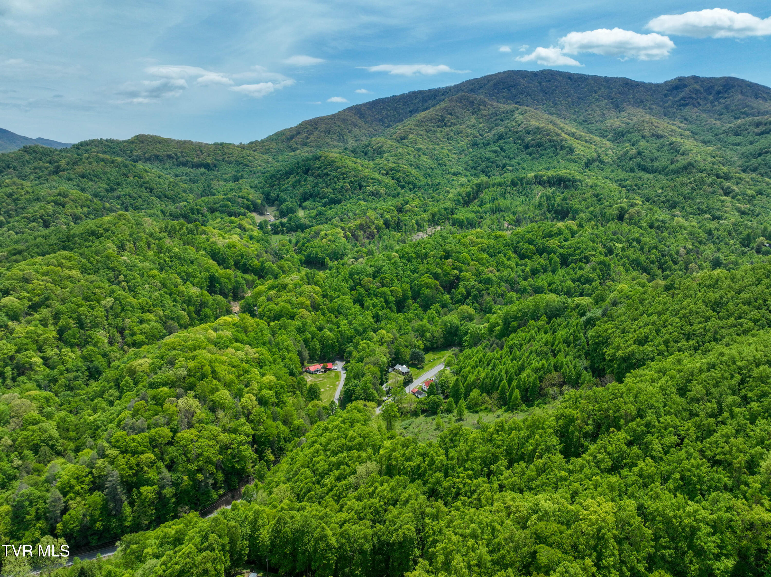 275 Tiger Creek Road Roan Mountain, TN 37687 - Photo 63 of 104 275 Tiger Creek Rd Drone WALLACE-4