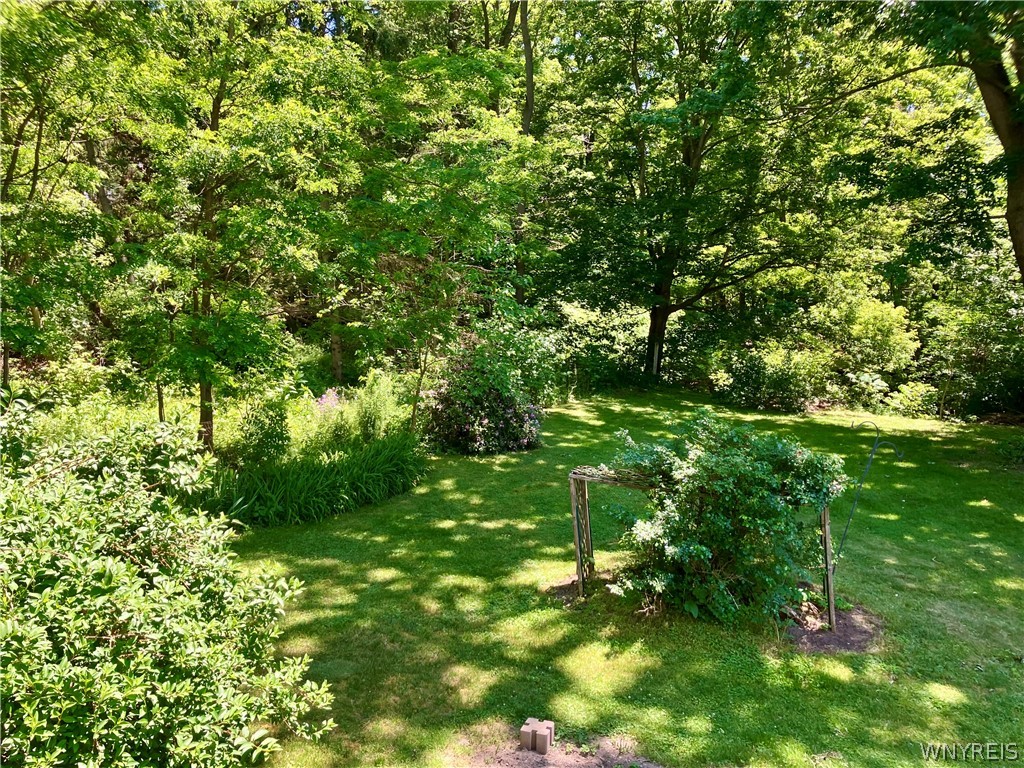 10296 Ridge Road Ridgeway, NY 14103 - Photo 38 of 45 Wooded yard