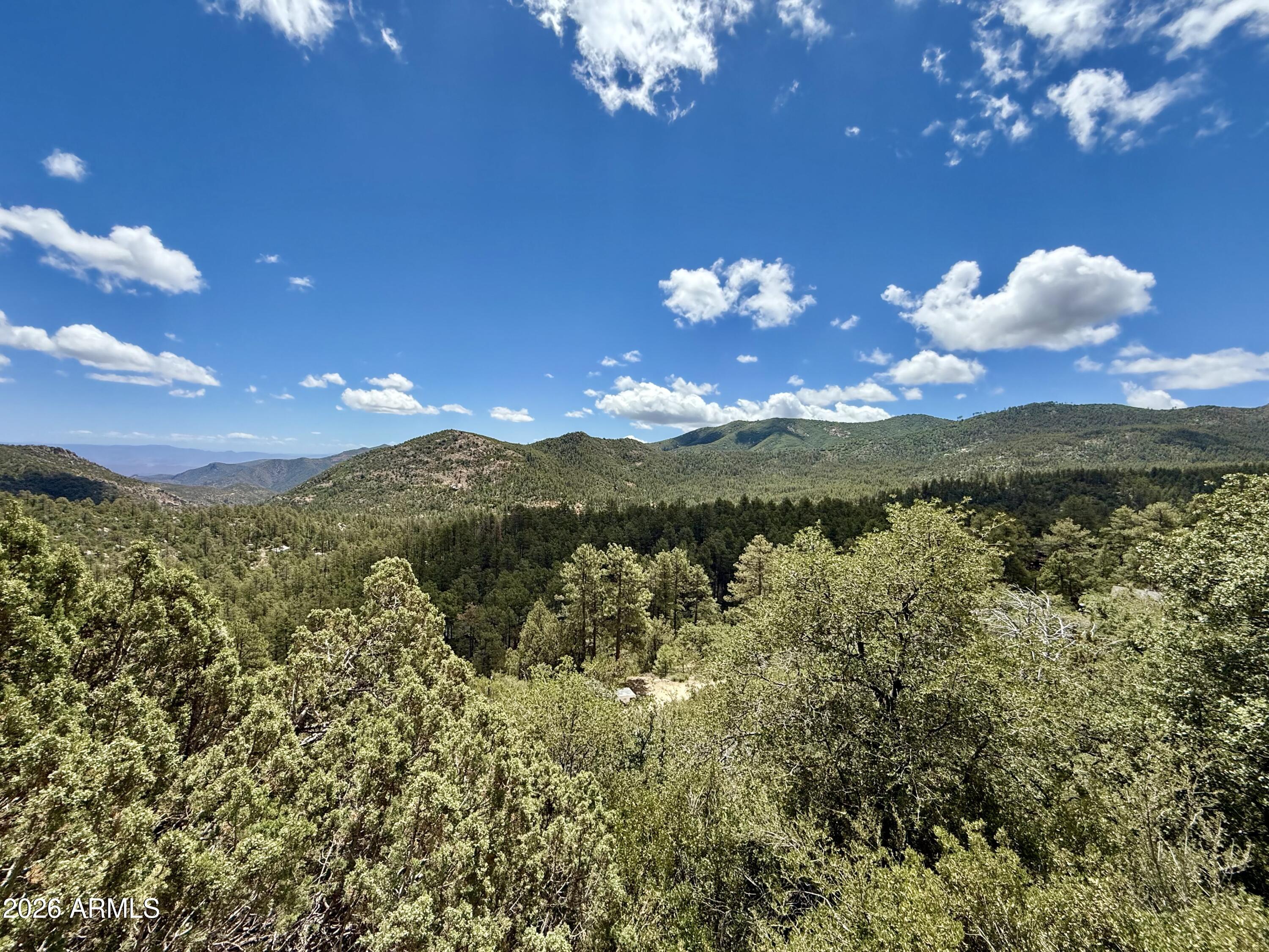 23403 Manzanita Road Crown King, AZ 86343 - Photo 59 of 74 Tall pines