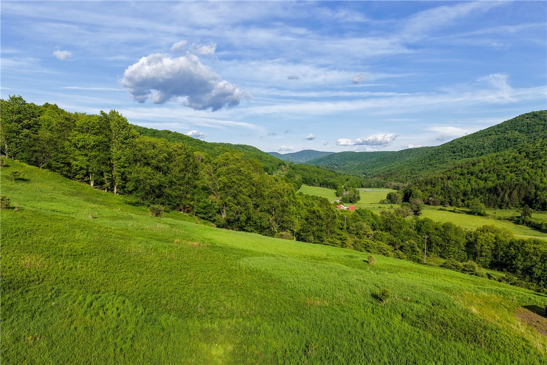 26 Federal Hill Road Delhi, NY 13753 - Photo 39 of 50