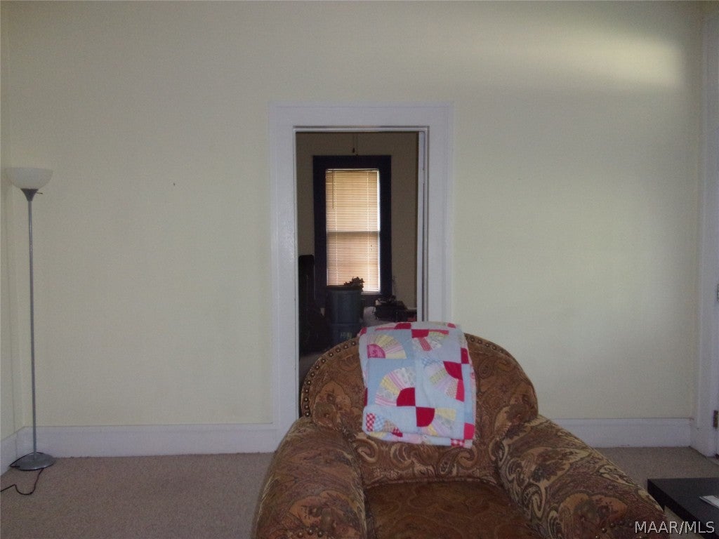 201 North Ripley Street Samson, AL 36477 - Photo 3 of 26 Gallery Image 3