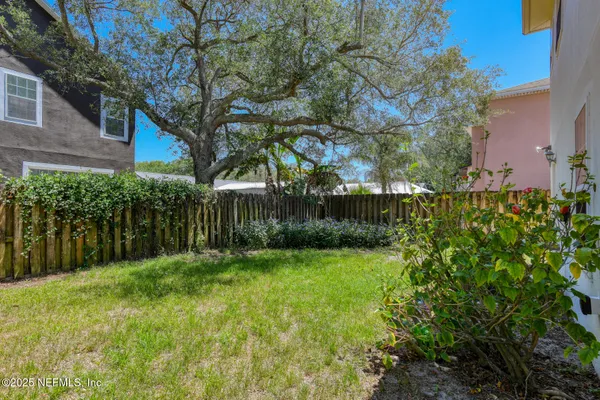 a view of a yard with plants and a large tree