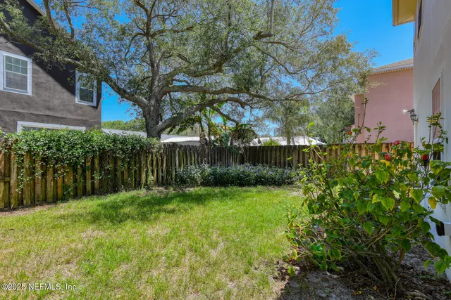 a view of a yard with plants and a large tree