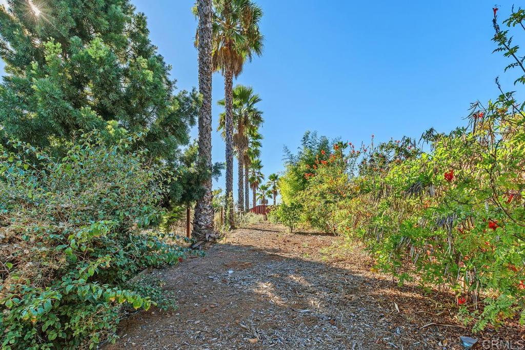 3068 Southwind Lane Vista, CA 92084 - Photo 31 of 44 a view of a yard with plants and trees