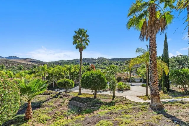 a view of a backyard