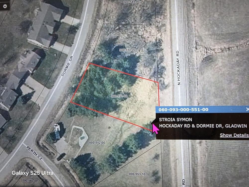 Lot 551 Hockaday Road, Unit HOCKADAY & DORMIE DR Gladwin, MI 48624 - Photo 3 of 11