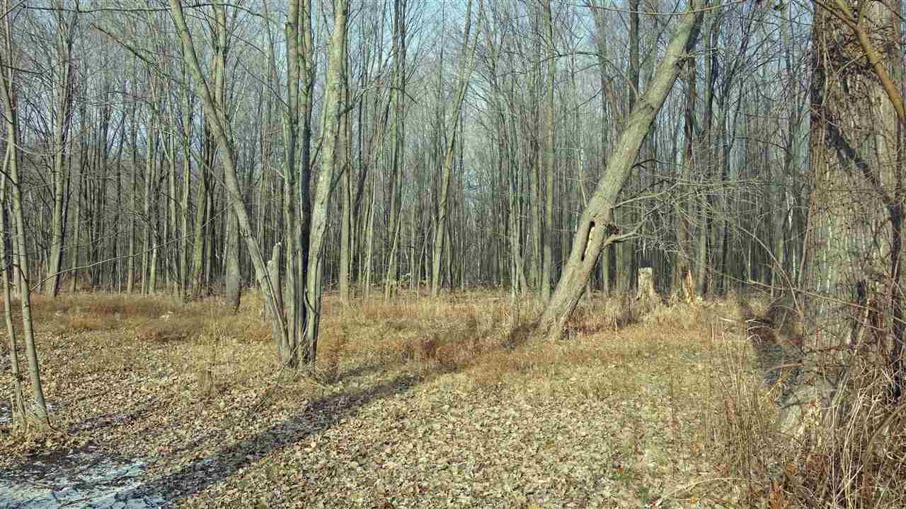 18670 Sharon Road Oakley, MI 48649 - Photo 24 of 25 Gallery Image 24
