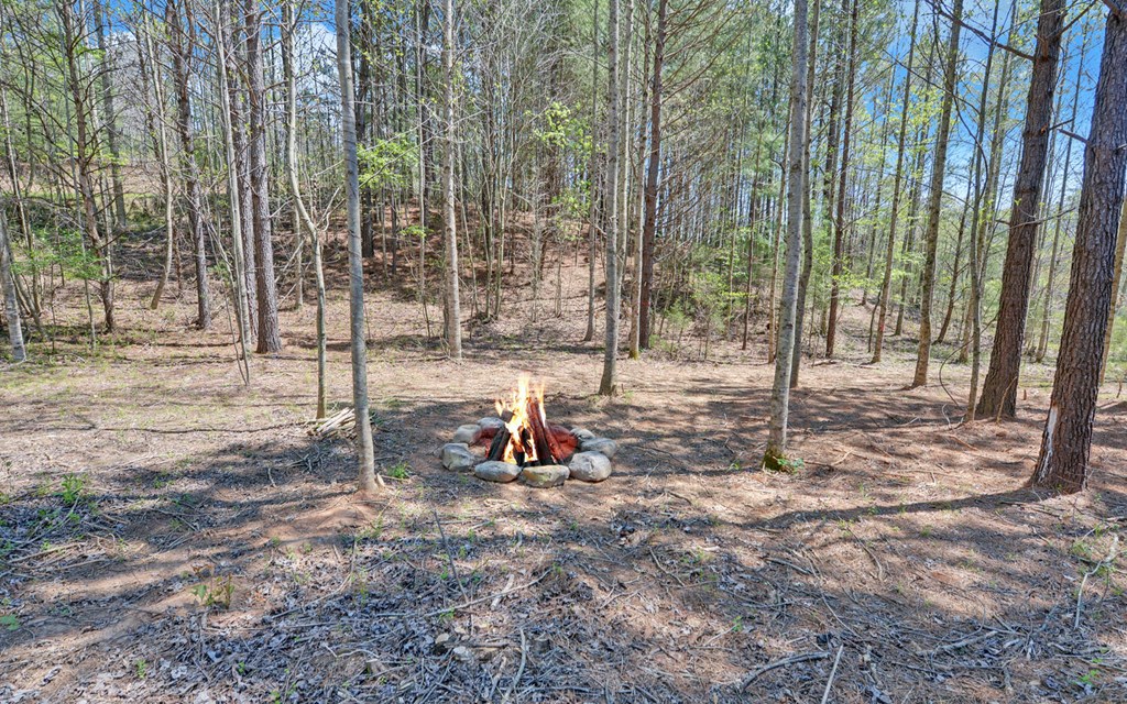 313 Burger Road Murphy, NC 28906 - Photo 18 of 41