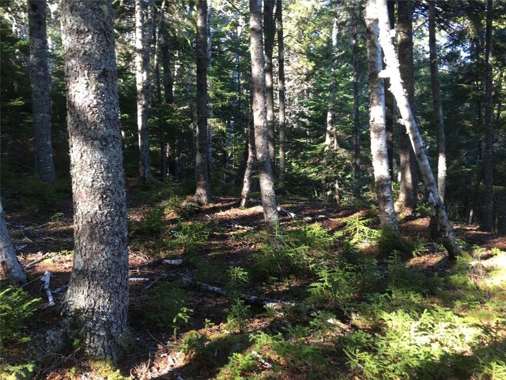 3 Holway Point Road Machias, ME 04654 - Photo 9 of 11 Photo