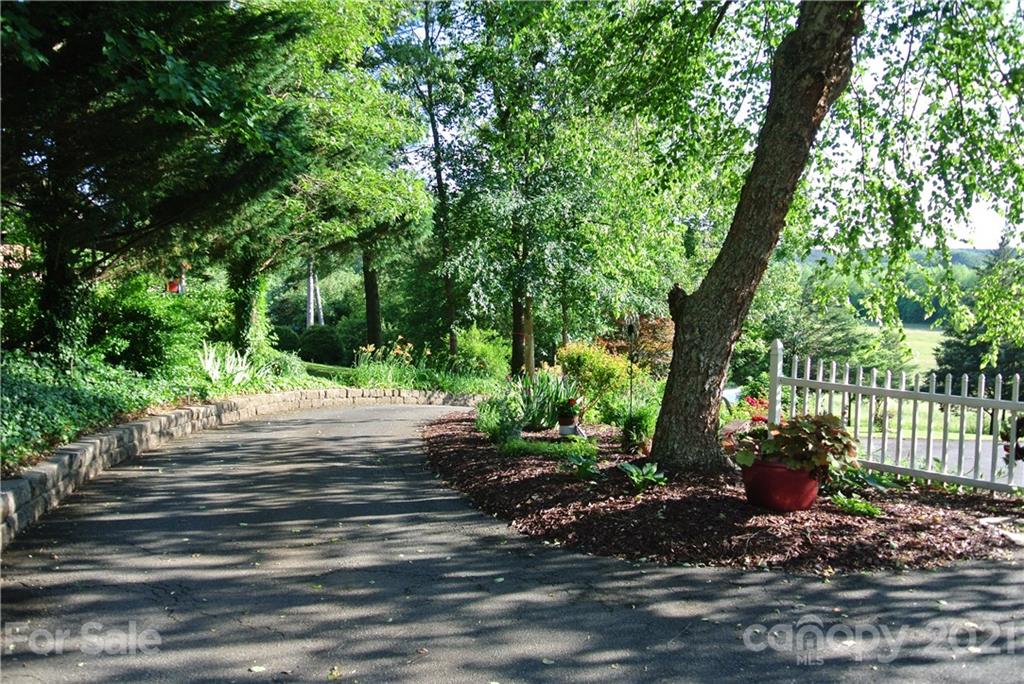 1911 Coxe Road Rutherfordton, NC 28139 - Photo 34 of 37 a view of a park with plants and large trees
