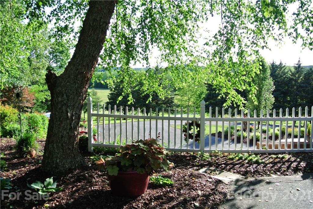 1911 Coxe Road Rutherfordton, NC 28139 - Photo 35 of 37 a garden with lots of plants and trees