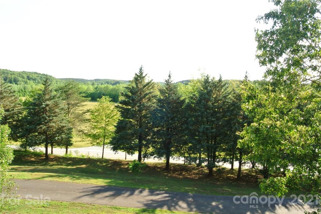 1911 Coxe Road Rutherfordton, NC 28139 - Photo 6 of 37 a view of a yard with a tree
