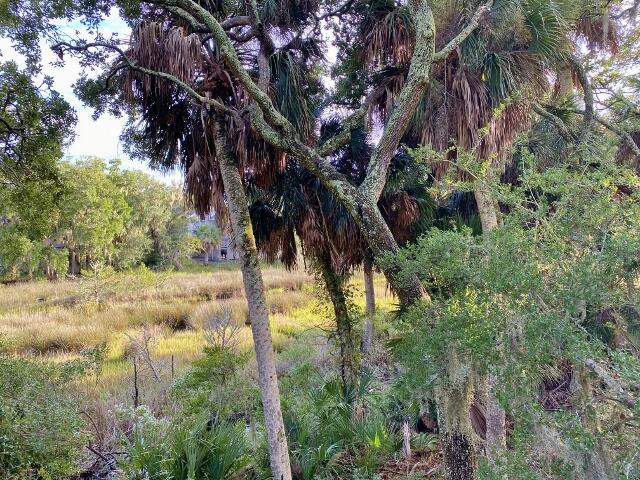 404 Jungle Road Edisto Island, SC 29438 - Photo 39 of 61 40 (640x480)