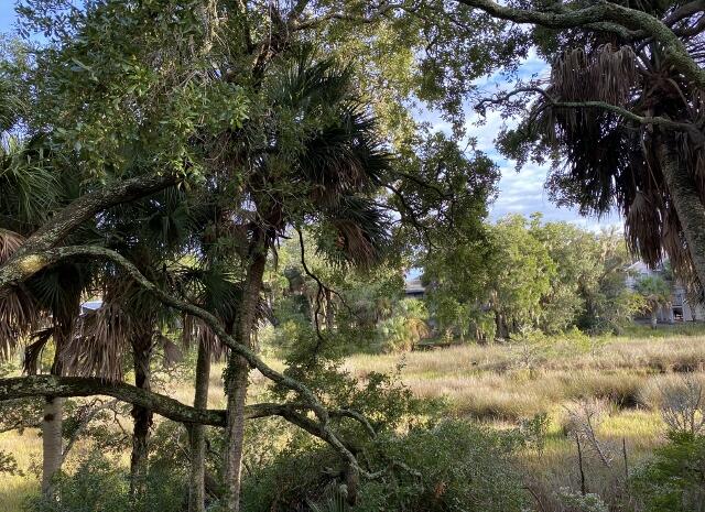 404 Jungle Road Edisto Island, SC 29438 - Photo 5 of 61 4 (640x465)