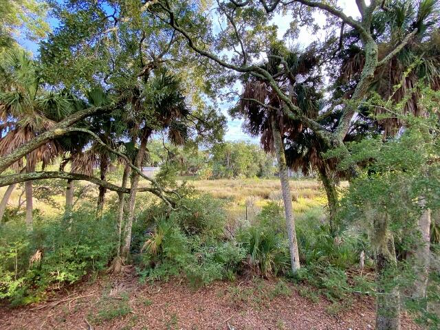 404 Jungle Road Edisto Island, SC 29438 - Photo 41 of 61 42 (640x480)