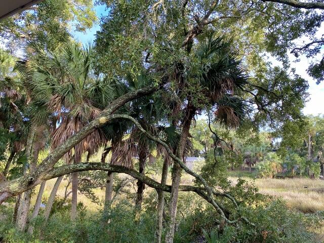 404 Jungle Road Edisto Island, SC 29438 - Photo 51 of 61 50 (640x480)