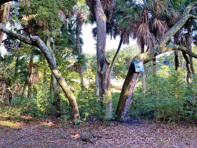 404 Jungle Road Edisto Island, SC 29438 - Photo 61 of 61 60 (640x480)