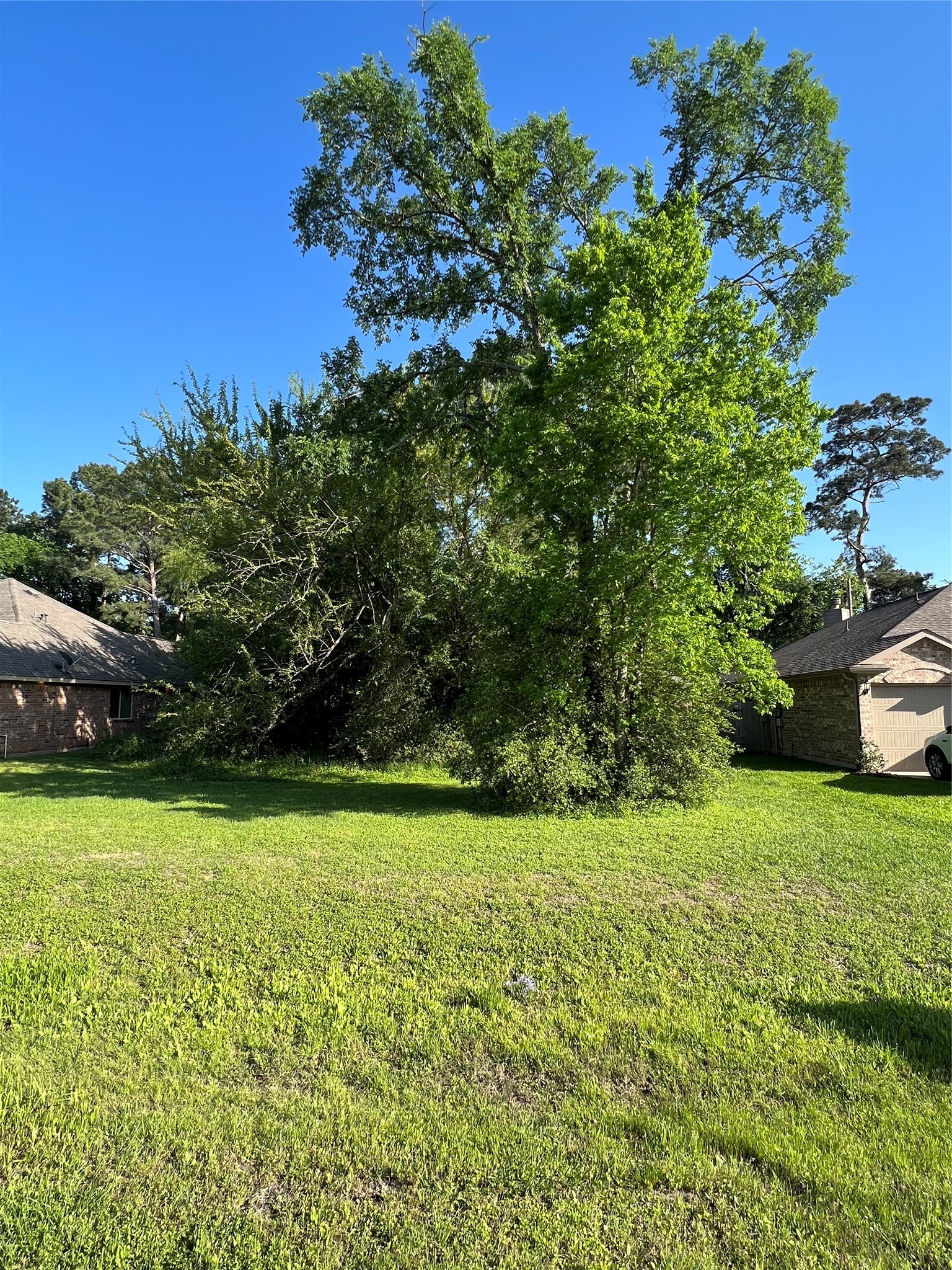 a view of a garden with a building in the background