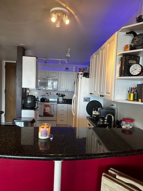 720 West Gordon Terrace, Unit 10L Chicago, IL 60613 - Photo 3 of 15