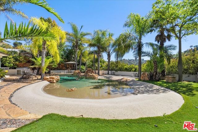 a view of a swimming pool with a lawn chairs under palm trees
