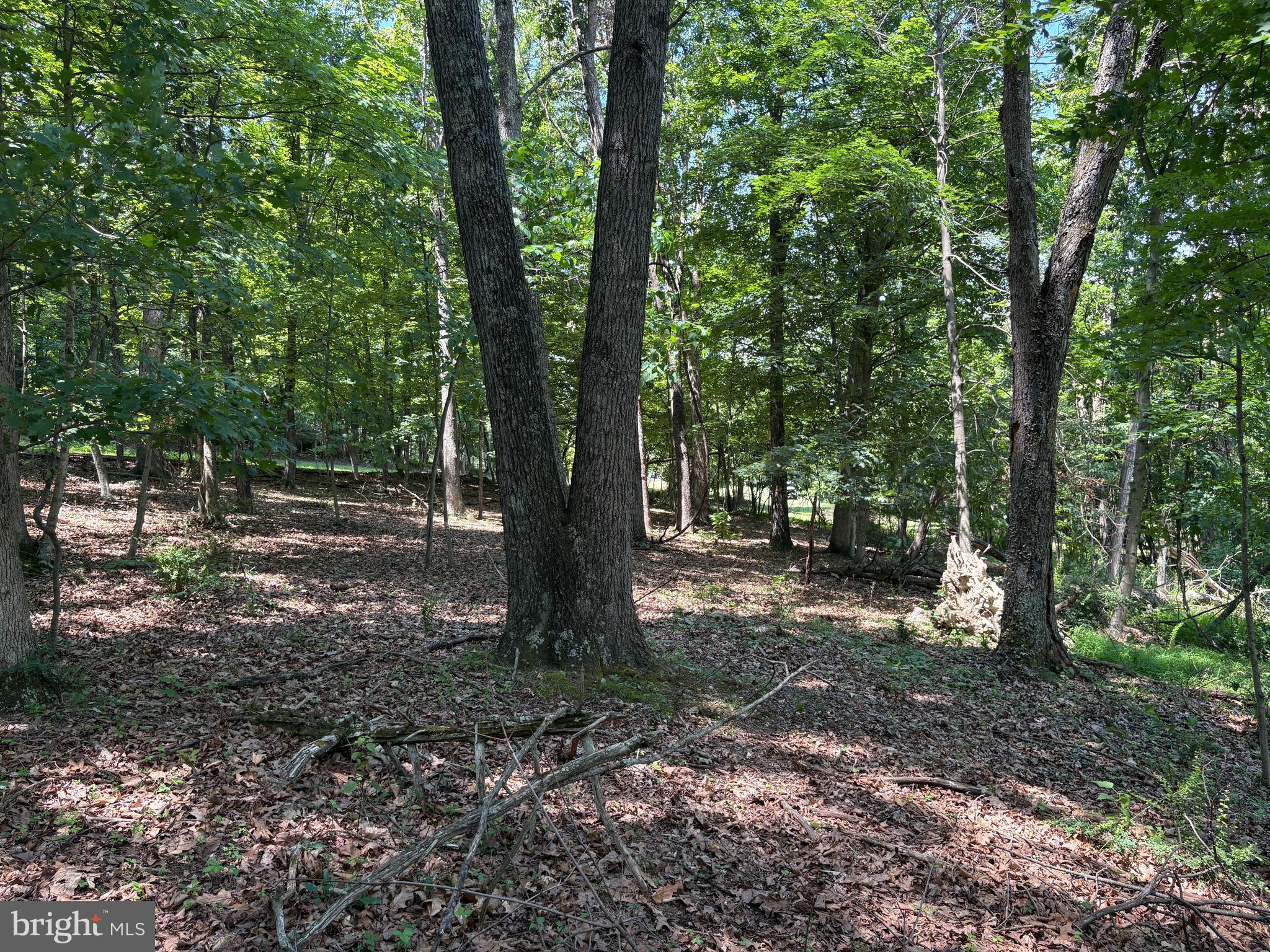 16 Rolling Acres Road Old Fields, WV 26845 - Photo 11 of 21