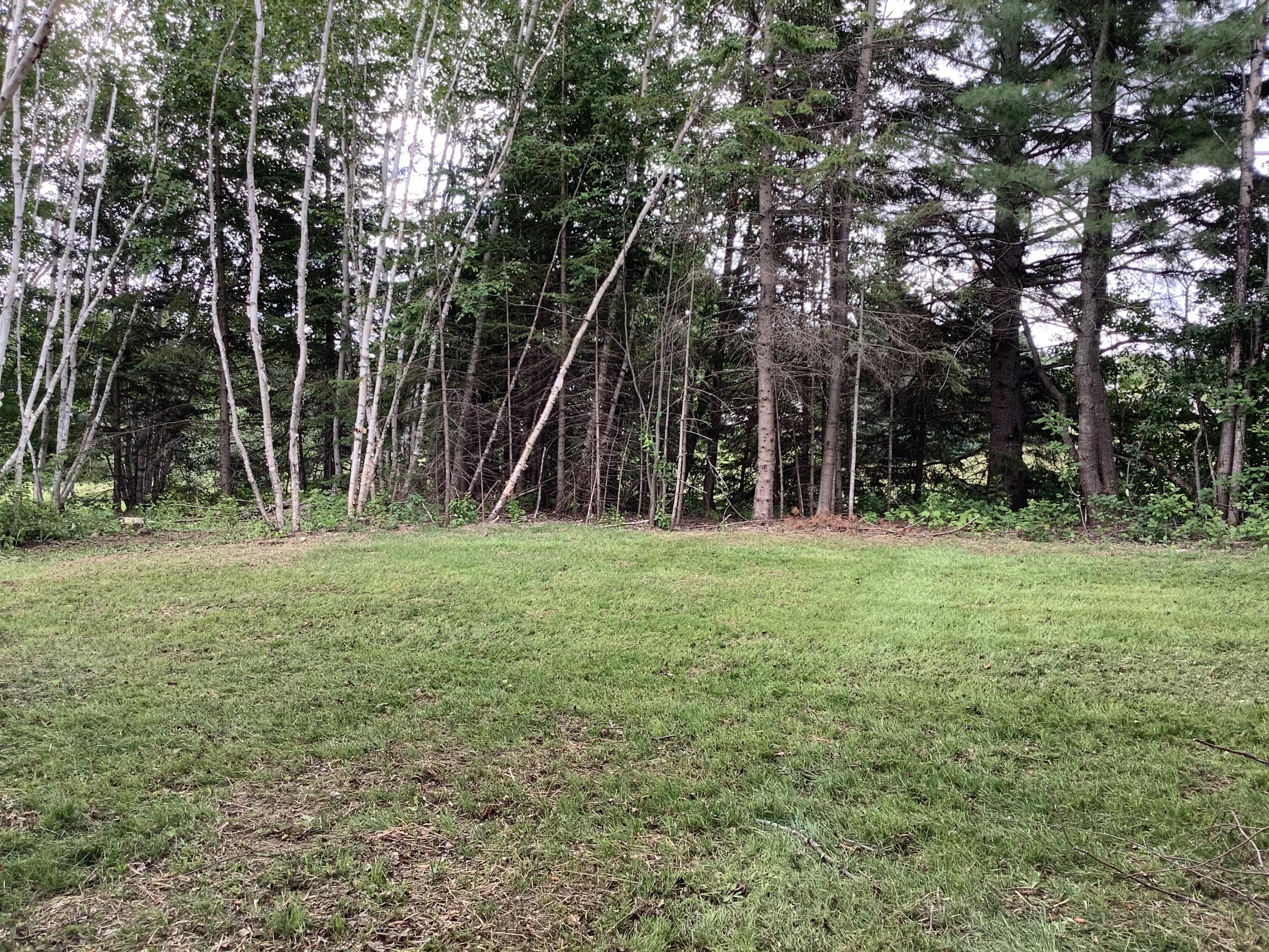 1780 Hamlin Road Van Buren, ME 04785 - Photo 11 of 61 297D0D0B-DBA2-4A9F-9A23-B40F201D78A3