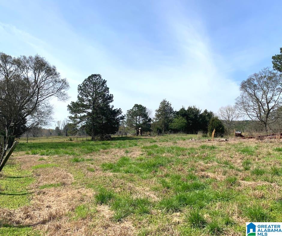 352 Daniel Road, Unit 97 17 ACRES Ohatchee, AL 36271 - Photo 12 of 17