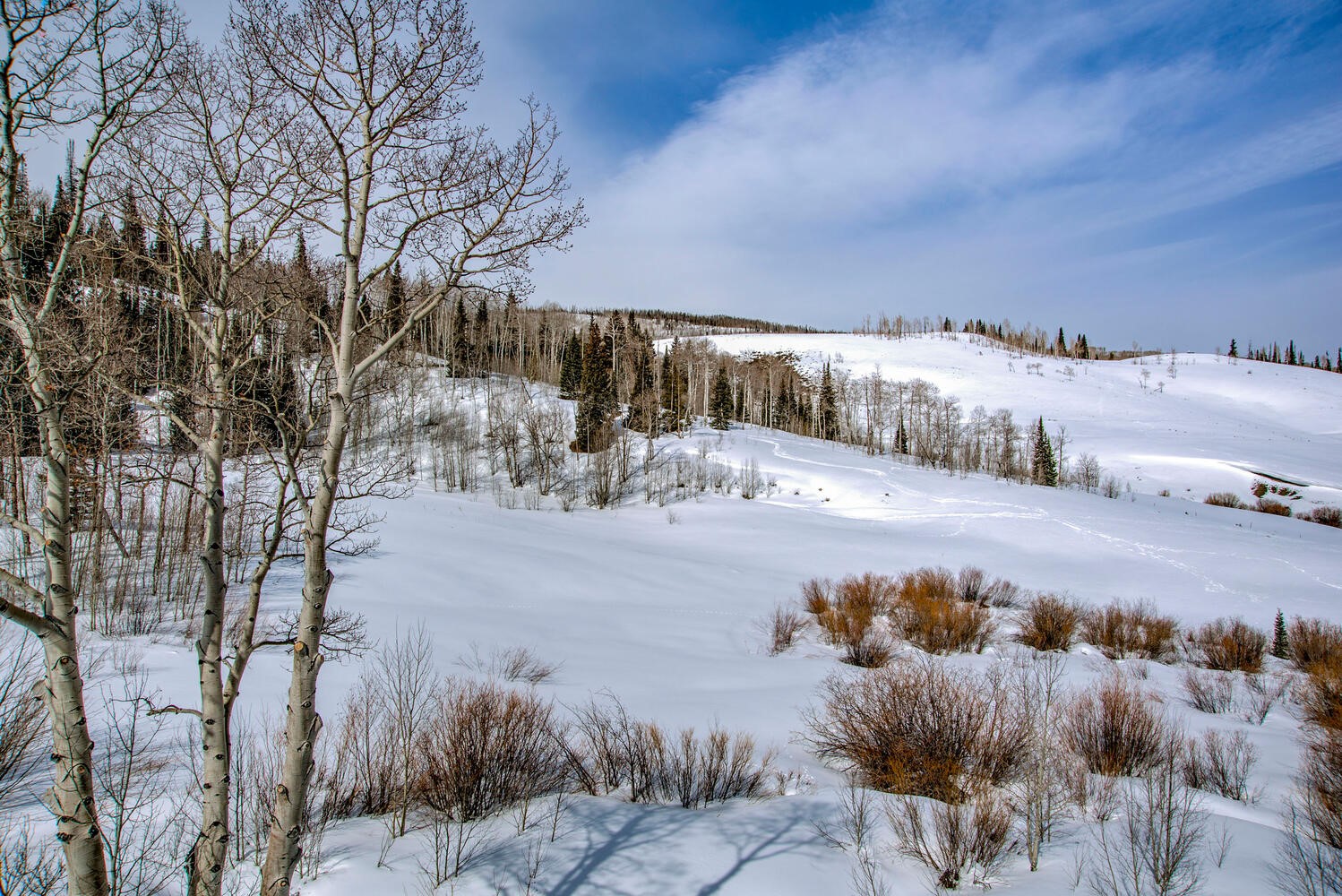 140 Vendette Road Silverthorne, CO 80498 - Photo 49 of 49 Gallery Image 49