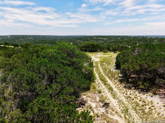 a view of a pathway with a garden