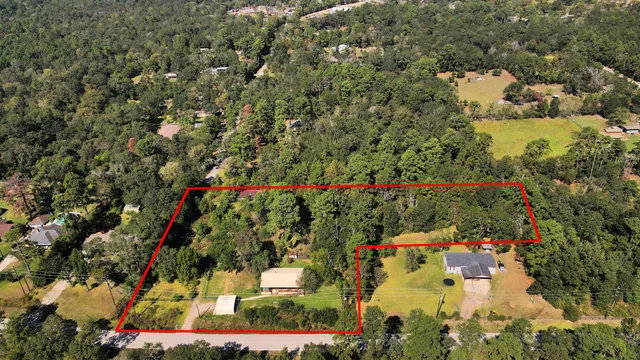 a view of a yard with a plant and plants