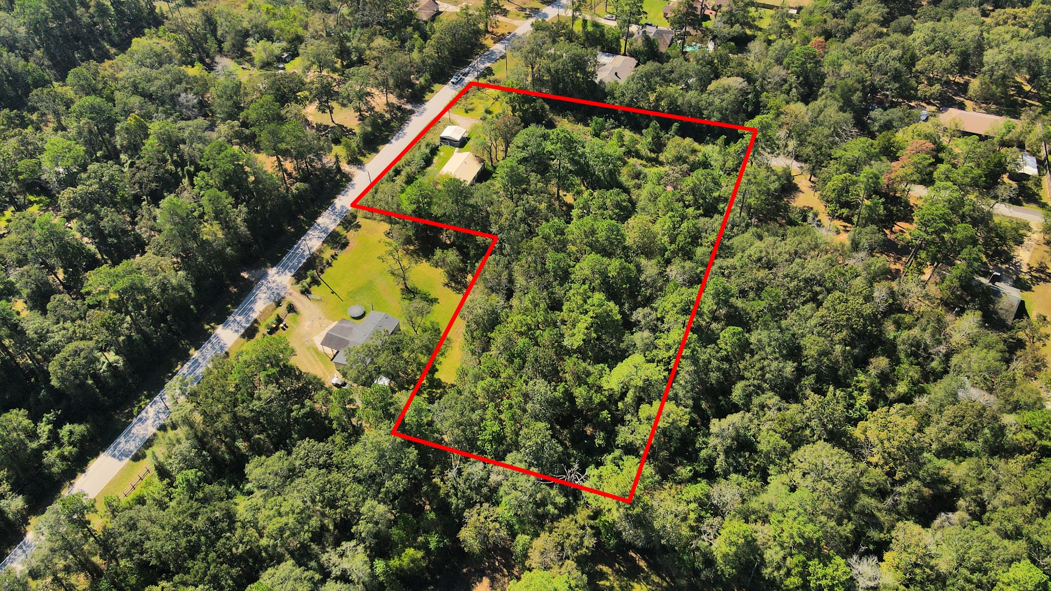 3014 Ave M Conroe, TX 77301 - Photo 2 of 12 a view of a yard with a plant and plants