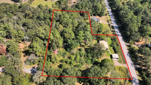 an aerial view of a forest with houses