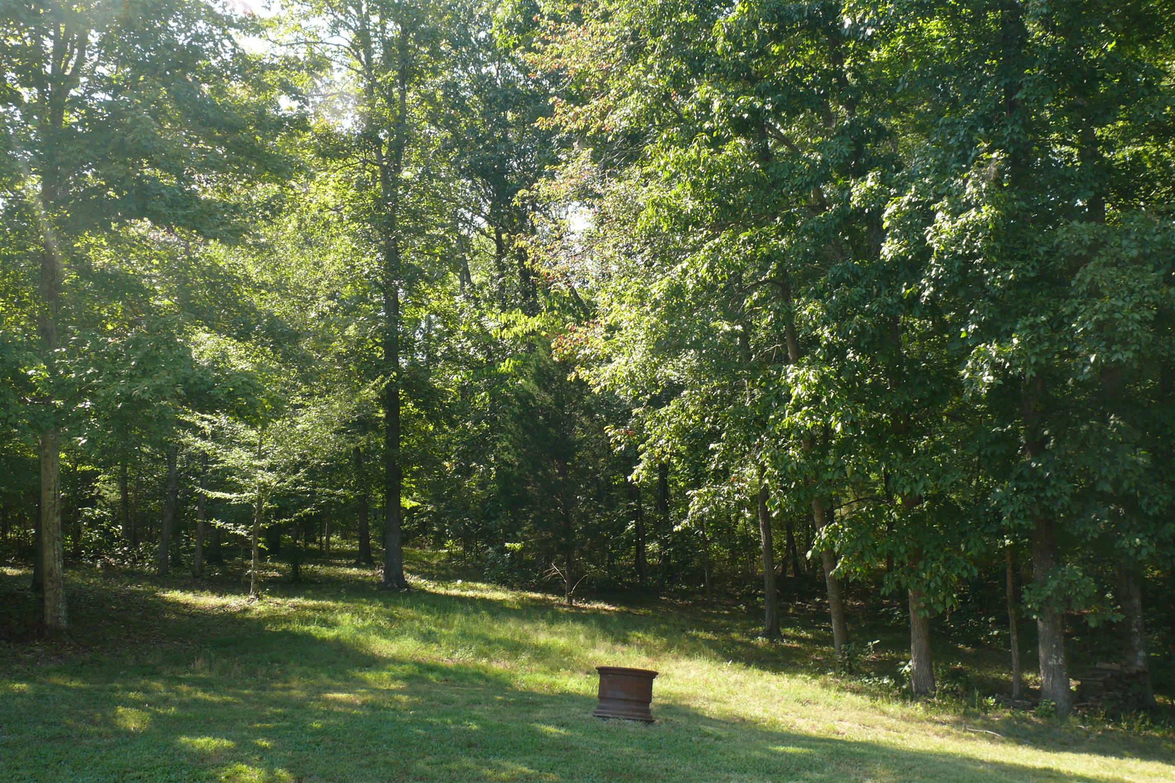 400 Jesse Work Road Dickson, TN 37055 - Photo 7 of 9 a view of yard with green space