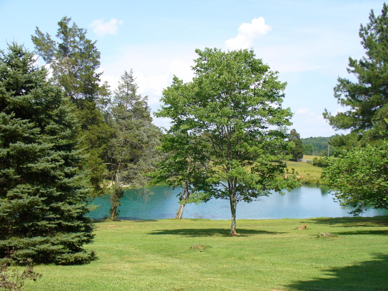 11317 Moneta Road Moneta, VA 24121 - Photo 3 of 3 pond
