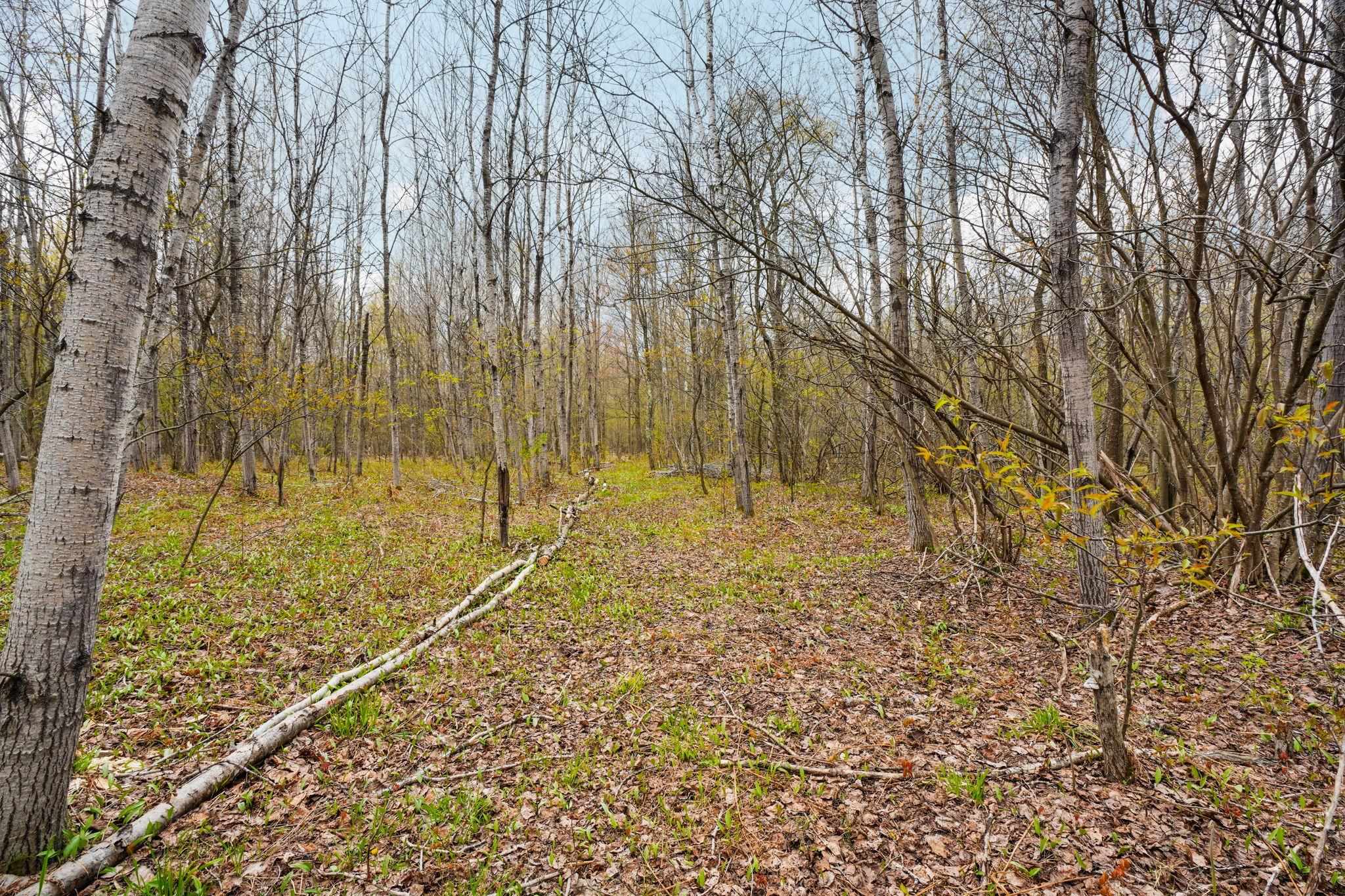 3976 Irvin Road Kingsley, MI 49649 - Photo 10 of 68