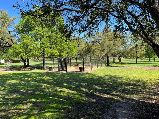 a view of a park with large trees