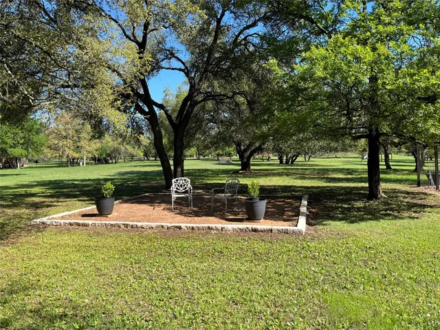 a view of a park with large trees