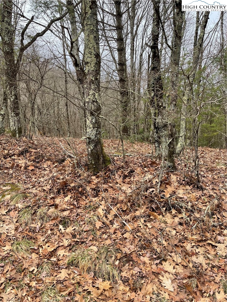 Old Mountain Road Banner Elk, NC 28604 - Photo 2 of 11 a view of a yard