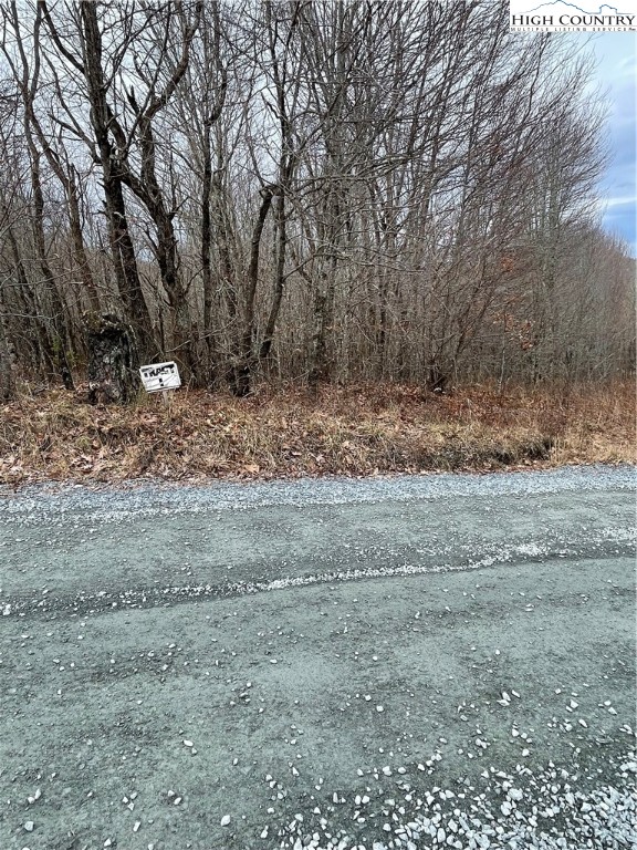 Old Mountain Road Banner Elk, NC 28604 - Photo 3 of 11