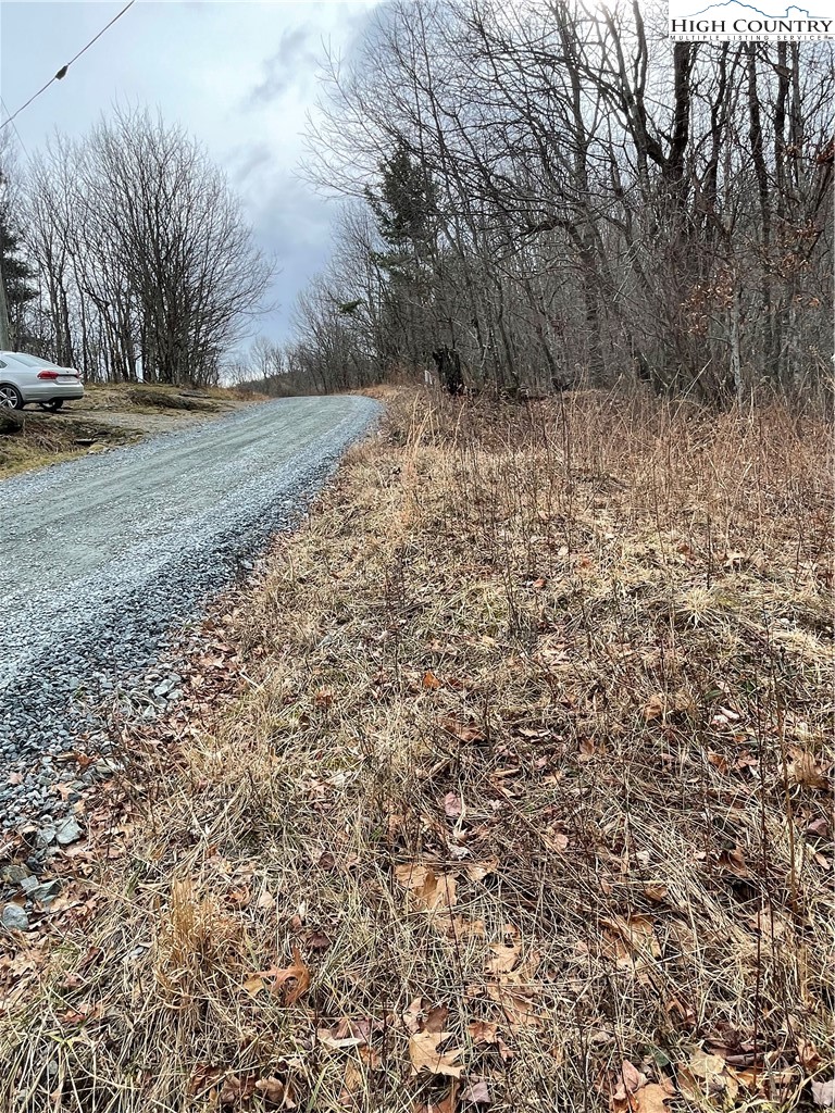 Old Mountain Road Banner Elk, NC 28604 - Photo 5 of 11 a view of a yard with a trees