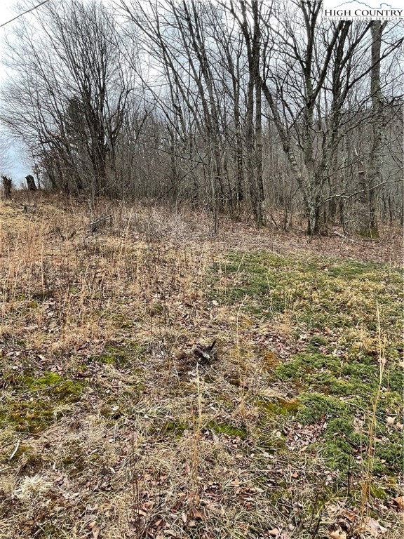 Old Mountain Road Banner Elk, NC 28604 - Photo 6 of 11