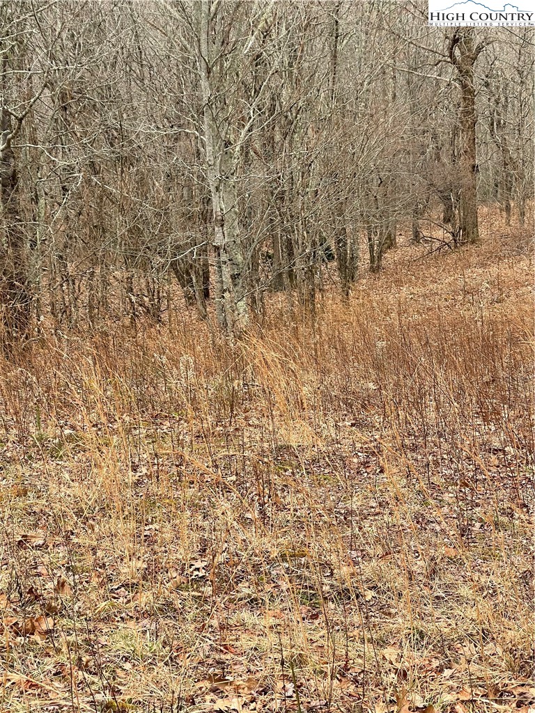 Old Mountain Road Banner Elk, NC 28604 - Photo 7 of 11