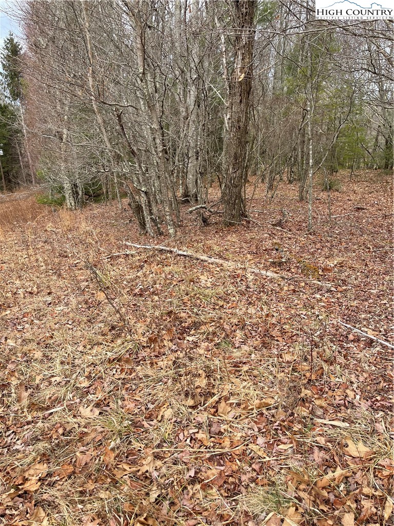 Old Mountain Road Banner Elk, NC 28604 - Photo 8 of 11 a view of a yard with a tree