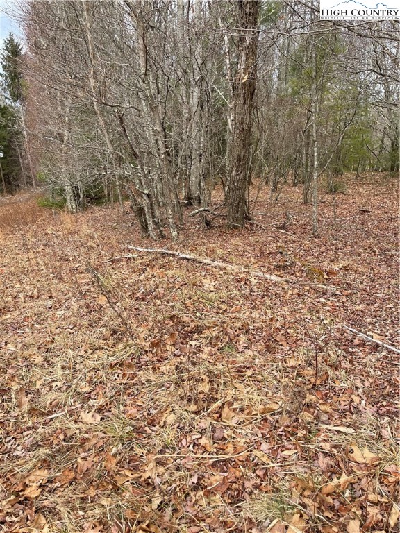Old Mountain Road Banner Elk, NC 28604 - Photo 8 of 11