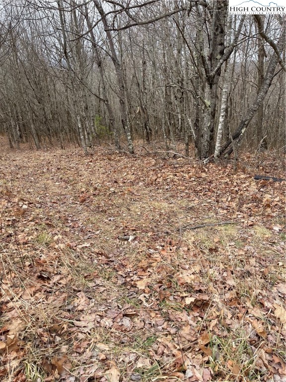 Old Mountain Road Banner Elk, NC 28604 - Photo 10 of 11