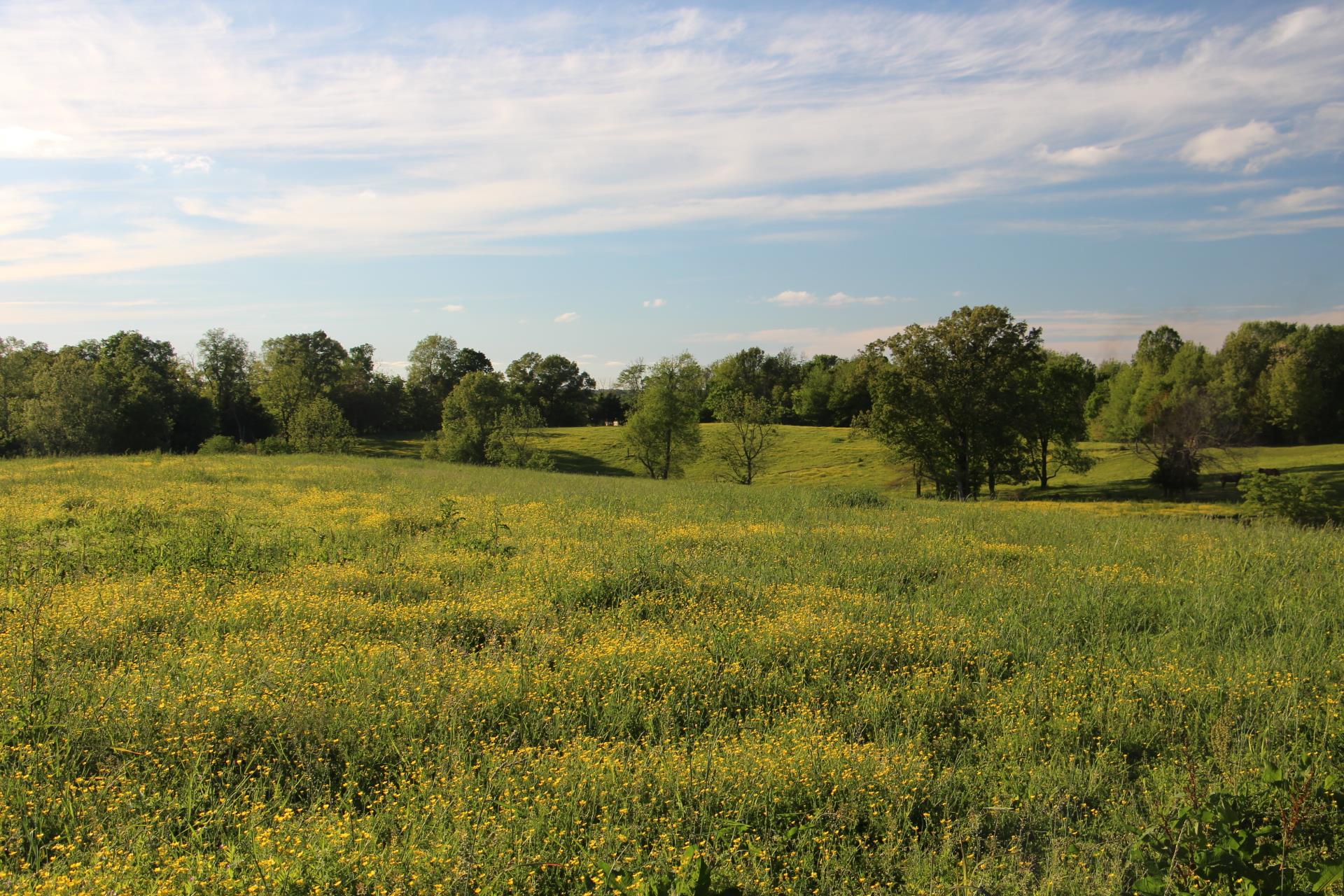 0 Crawford Store Road Springfield, TN 37172 - Photo 1 of 12