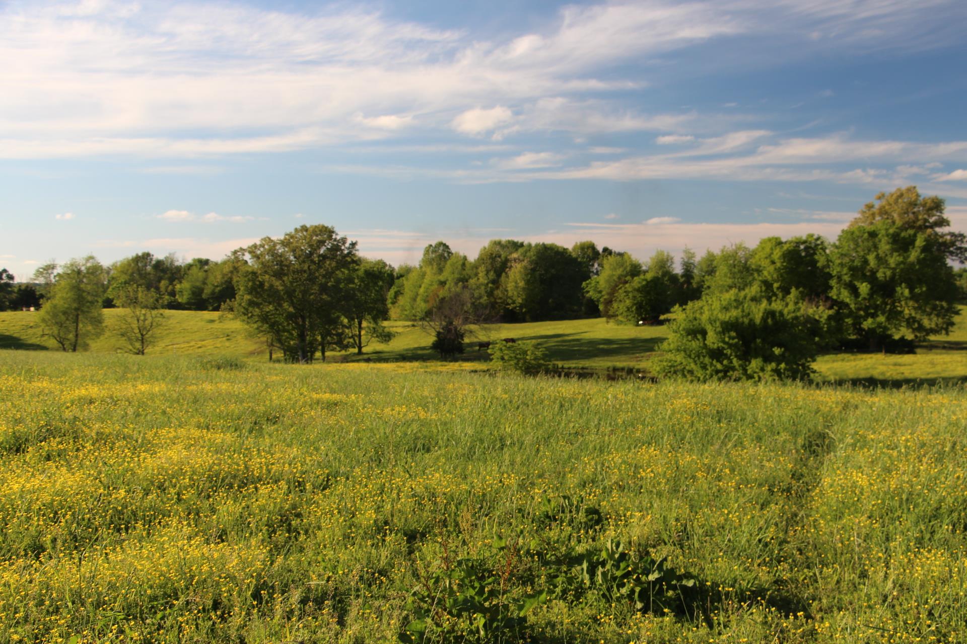 0 Crawford Store Road Springfield, TN 37172 - Photo 2 of 12