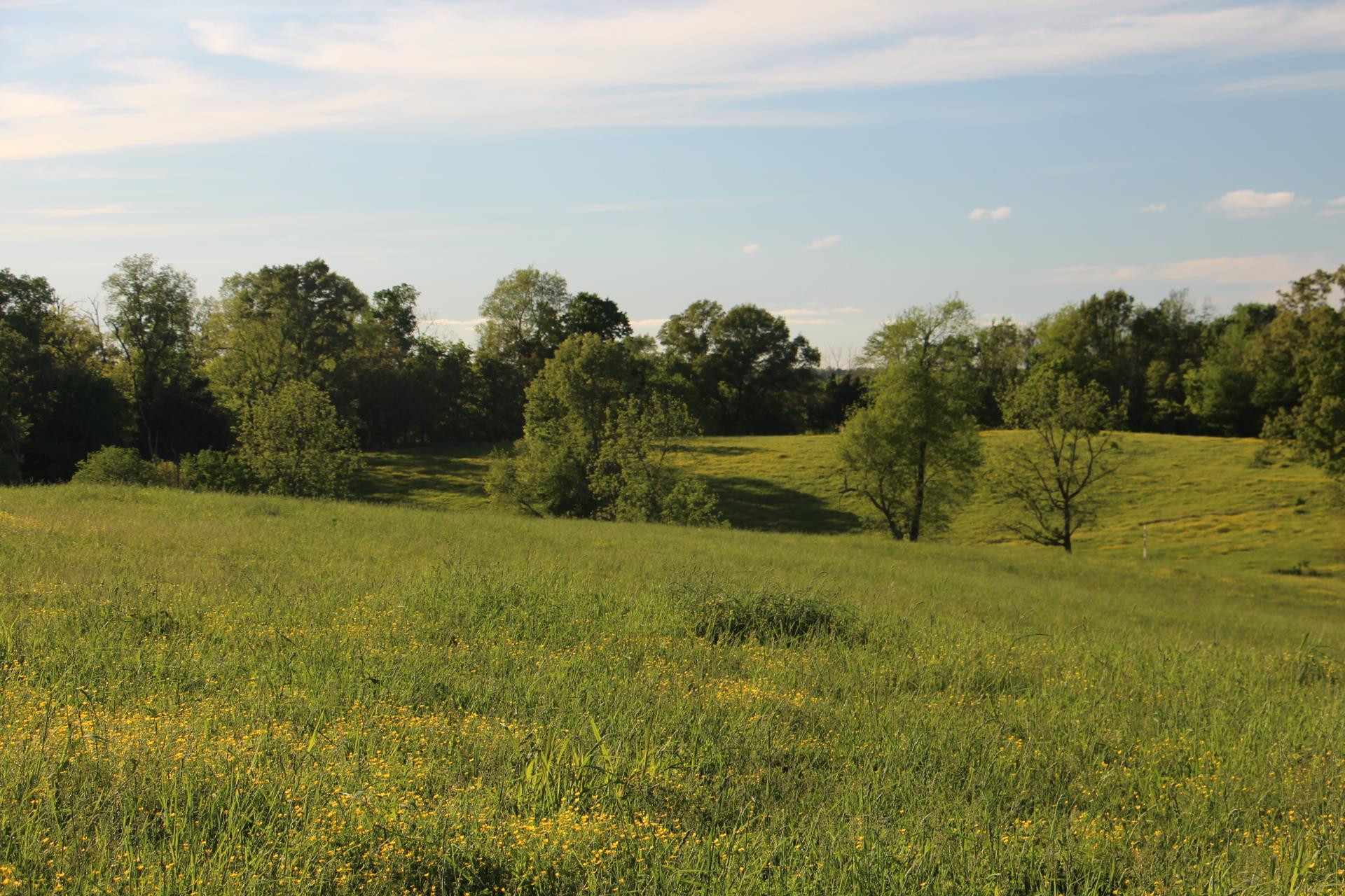 0 Crawford Store Road Springfield, TN 37172 - Photo 11 of 12